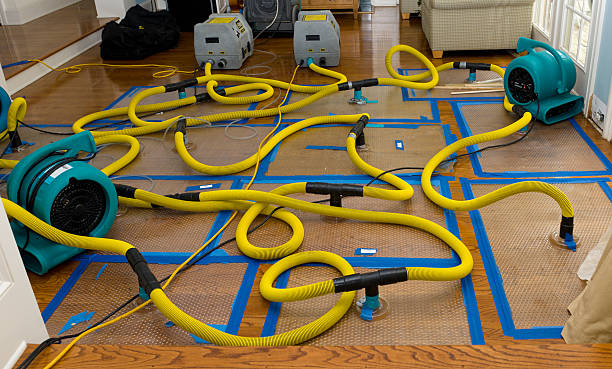 Professional Sewage Cleanup technician working in Stamford, TX
